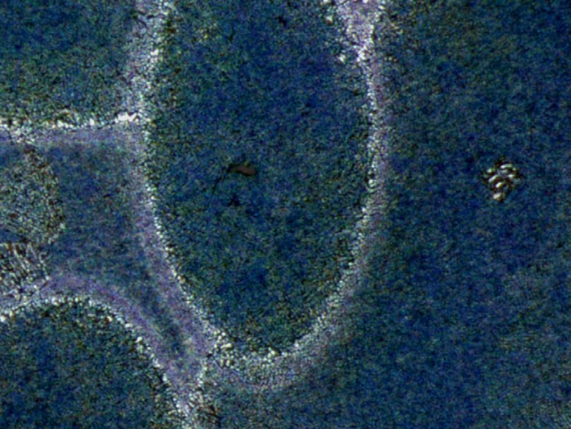 imagen microscopio electronico de barrido