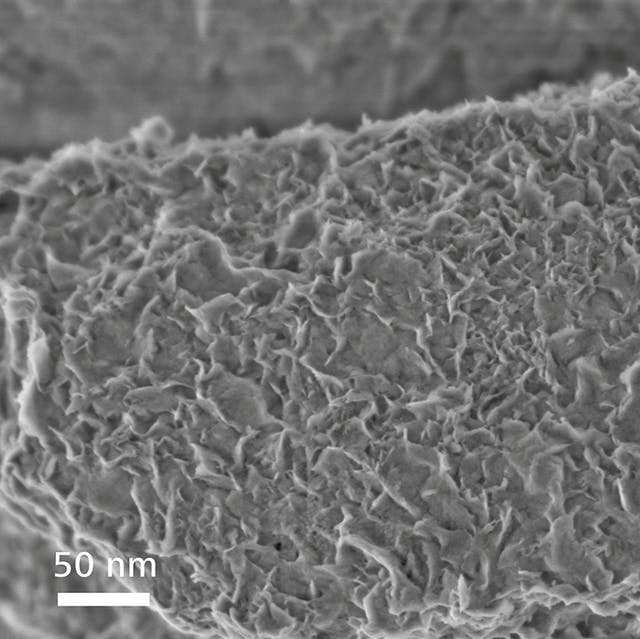 microscopio 560 1 montmorillonite 800v 21.ts