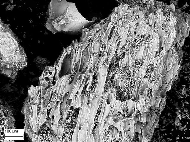 microscopio para geociencias 1