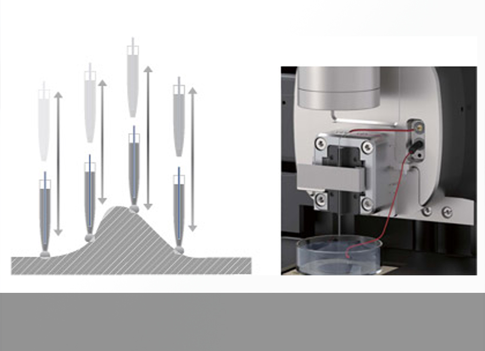 módulo park sxm park nx10 0001