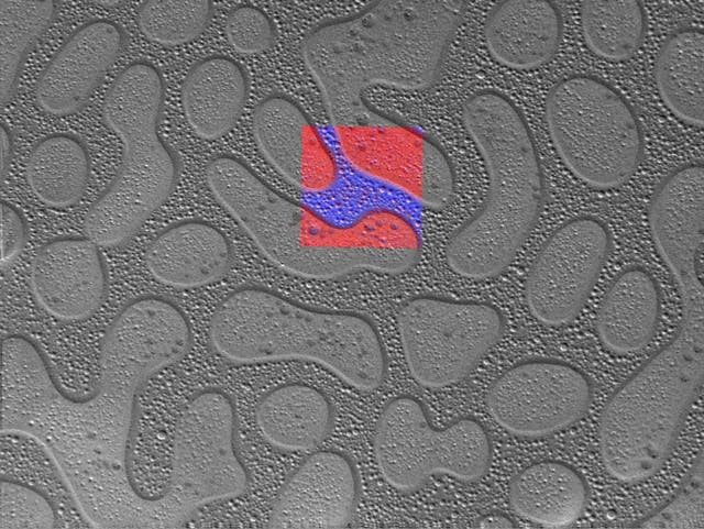 ciencia de materiales microscopiopolimero