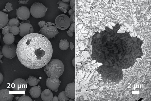 excelente calidad en la imagen microscopio ele