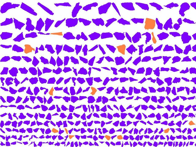 mineral particles sdg2.ts 1563264478491